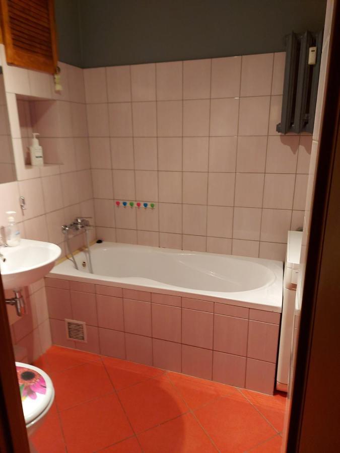 Apartament Sloneczny 科宁 外观 照片